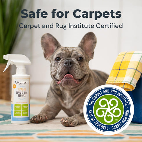 Oxyfresh Advanced Pet Stain Remover & Urine Odor Eliminator, Fast Acting for All Surfaces