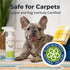 Oxyfresh Advanced Pet Stain Remover & Urine Odor Eliminator, Fast Acting for All Surfaces