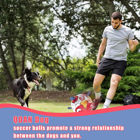 Chicken Dog Toys Soccer Ball with Straps, Interactive Tug of War Toy, Durable Water Toy for Dogs (8 Inch)