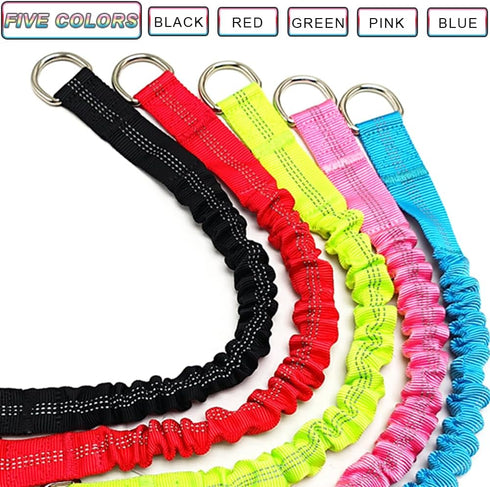 Short Dog Leash Extender, 18 in Bungee Shock Absorbing Nylon Leash for Medium Large Dogs Walking Training