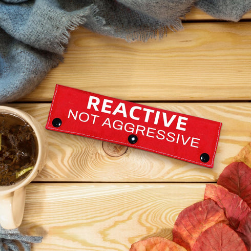 Reactive Not Aggressive Dog Leash Sleeve Wrap, Red Cover for Reactive Dogs, Gift for Dog Owners
