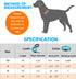 Heavy Duty Dog Leash, Comfortable Padded Handle, 5 ft Long for Small Medium Large Dogs, Blue