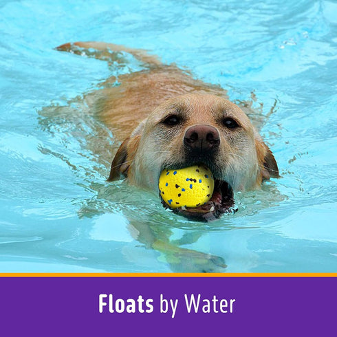 Dog Balls Tennis Ball Dog Toys for Aggressive Chewers, Durable Floating Water Toy Fetch Balls for Large, Medium Small
