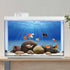AWERT Undersea Aquarium Background, 48x20 Inches Sunshine Underwater Ocean Floor Fish Tank Polyester Background