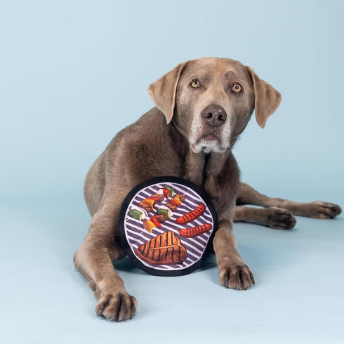 Fringe Studio Plush Dog Toy, Catch You Flipside, Durable Pet Toy, Pet Shop Collection (729052)