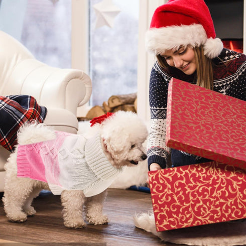 ASENKU Warm Dog Sweater for Small Medium Dogs - Thick Pullover Turtleneck Sweater for Fall Winter Clothing