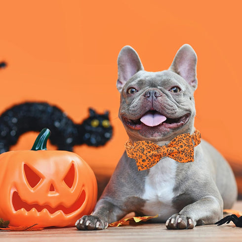 Halloween Dog Collar with Bow, Pumpkin Design, Cute Soft Puppy Collar for Large Dogs, Holiday Gift
