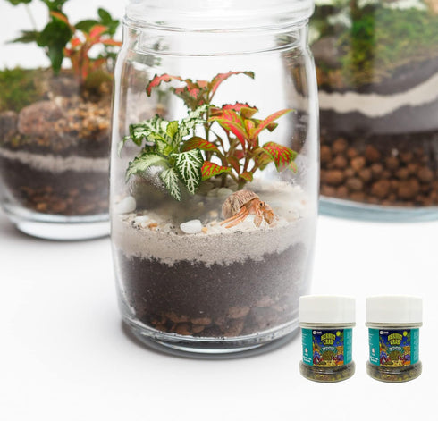 2 Pack Needzo Hermit Crab Food Bottles for Refill, All in One Natural Supplies and Habitat Necessities for Crabs, Two