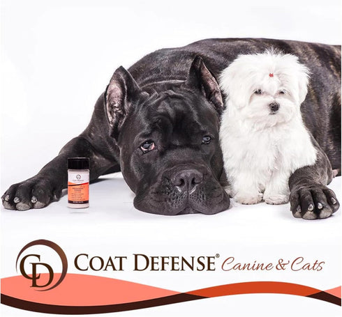 COAT DEFENSE Preventative Powder, 3.5oz Waterless Dog Shampoo & Deodorizer for Smelly Dogs, Made in USA