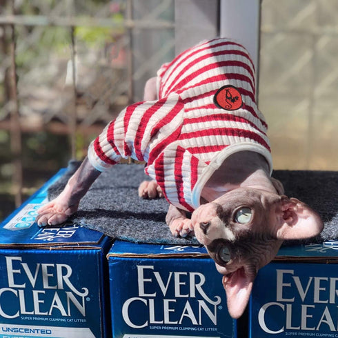 DENTRUN Hairless Cats Shirt, Breathable Daily Wear Clothes for Cats, Soft Stripe Vest Pajamas Jumpsuit