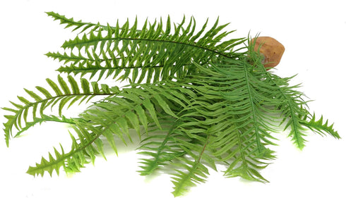 JIHAQUA Fake Fern Plants, Reptile Plastic Terrarium Decor, Reptiles Amphibians Tank Accessories for Crested Gecko