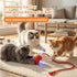 Interactive Cat Toys for Indoor Cats Smart Automatic Ball Rolling for Bored Kitten Pet Upgraded Speedy Moving Chase