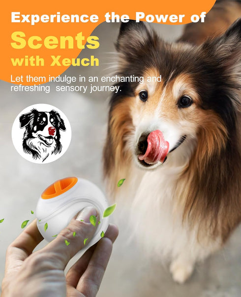 LED Dog Ball Rechargeable - Light Up Bounce-Activated Fetch Ball for Small & Medium Dogs, 2.5 Inches, Orange