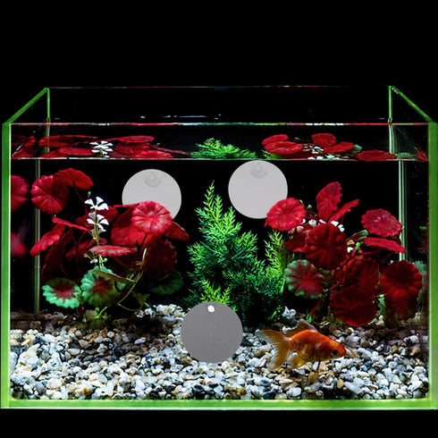 Mipcase 10pcs Betta Training Mirror - Wall Mirror Decor for Small Fish Tank, Single Side Betta Mirrors for Exercise.