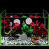 Mipcase 10pcs Betta Training Mirror - Wall Mirror Decor for Small Fish Tank, Single Side Betta Mirrors for Exercise.