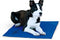 K&H Pet Products Summer Cooling Mat for Dogs or Cats - Outdoor Cooling Pad, Non-Toxic, Blue Large 36" x 20"