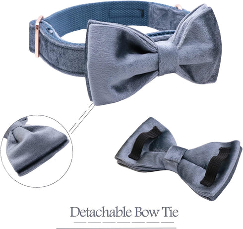ARING PET Bowtie Dog Collar - Velvet Dog Collar with Detachable Bowtie, Cute & Comfortable, Blue Large