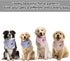 Dog Bandanas Spring, 4PCS Puppy Bandana, Orange Pink Blue Floral Printing Dog Bib Handkerchief Scarf