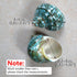 2pcs 1", (2pcs Medium Hermit Crab Shells, M Size Opening Natural Sea Conch, Turbo Seashells for Hermit Crab Supplies