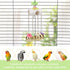 Bird Parrot Bells Toy, Sweet Sound for Budgie Parakeet Cockatiel Conure African Grey Lovebird