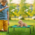 OYEAL Small Dog Cot, Elevated Cooling Pet Bed for Cats & Dogs, Lightweight Indoor Outdoor, Green, 27kg Capacity