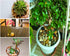Green Aquarium Gravel for Fish Tank, Rocks for Aquarium Substrate, Pebbles for Plants, 3 Pounds