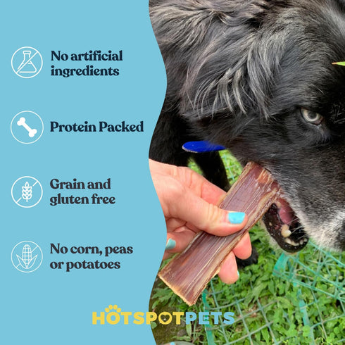(6 INCHES 25 Count) hotspot pets Beef Esophagus Dog Treats - Grass Fed with No Added Hormone, All Natural Jerky Dog