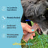 (6 INCHES 25 Count) hotspot pets Beef Esophagus Dog Treats - Grass Fed with No Added Hormone, All Natural Jerky Dog