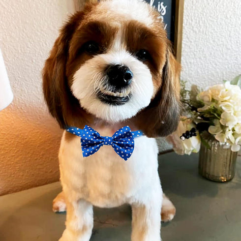 10pcs Small Dog Bowties for Puppy Boys, Adjustable Plaid Neck Bows for Party Costumes and Grooming