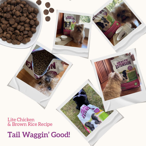 Health Extension Weight Control Dry Dog Food, Natural Lite Chicken & Brown Rice Recipe for Overweight Adult Dogs (1 lbs
