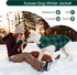 Kuoser Dog Winter Coat, Reversible British Style Jacket, Warm Cold Weather Vest for Small Dogs, Green S