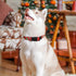 WHIPPY Christmas Dog Collar with Santa & Christmas Tree Pattern - Adjustable Collar for Small, Medium & Large Dogs