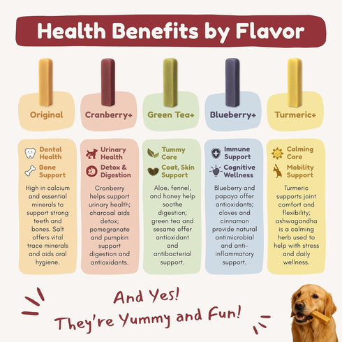 Pack, 5 Pack) Majestic Pet Himalayan All-Natural Cheese Dog Chews - Long Lasting Dental Chew for Dogs - Healthy Pet
