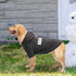 BINGPET Security Dog Hoodies, Puppy Sweater Cold Weather Coats, Soft Brushed Fleece Pet Clothes for Dog Cat