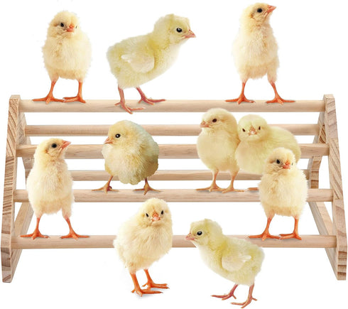 GINTUTO Wooden Chick Perch Stand, Pine Chicks Roosting Bar, Jungle Gym Perch Toys for Chicken Coop & Brooder, Bird