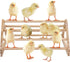 GINTUTO Wooden Chick Perch Stand, Pine Chicks Roosting Bar, Jungle Gym Perch Toys for Chicken Coop & Brooder, Bird