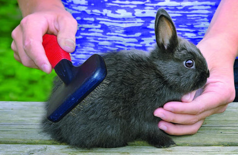 Lixit 4 Piece Grooming Kits for Rabbits, Guinea Pigs and Other Small Animals