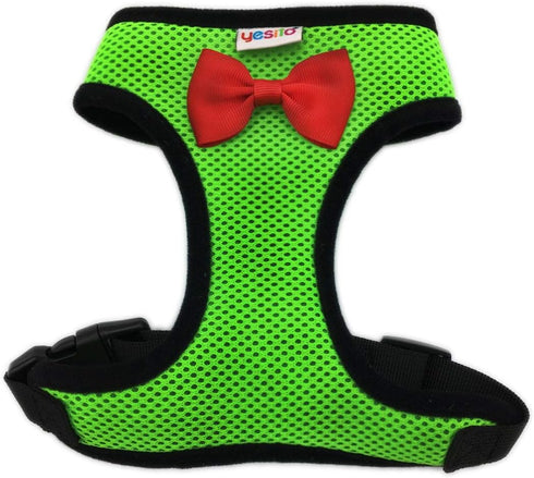 Chicken Harness Hen Size with 6-foot Matching Belt - Adjustable, Comfortable, Breathable, Small Size for Chicken, Duck