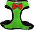Chicken Harness Hen Size with 6-foot Matching Belt - Adjustable, Comfortable, Breathable, Small Size for Chicken, Duck