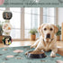 IEUUMLER 71" 71", 1 Pack EU007 71"X71"-1pcs) Washable Pee Pads for Dogs Extra Large x Non-Slip & Waterproof Whelping