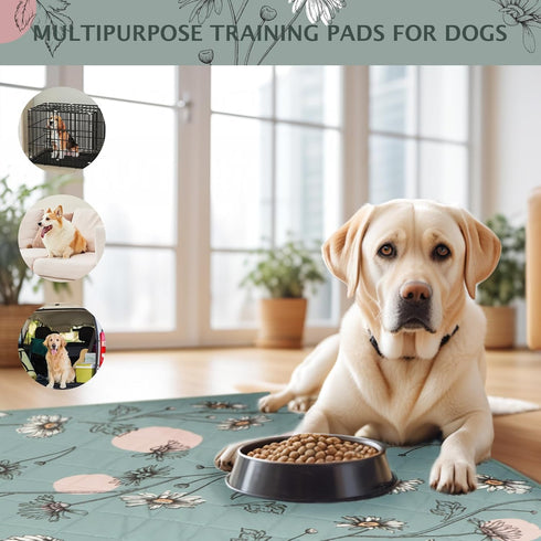 IEUUMLER 2 Pack Pack EU007 36"X41"-2pcs) Washable Pee Pads for Dogs, Non-Slip & Waterproof Whelping Pad, Reusable