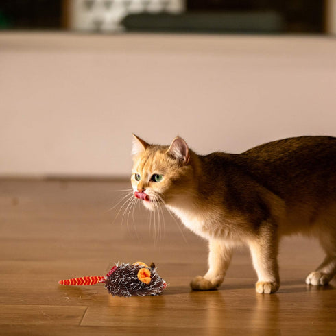 Gigwi Interactive Cat Toy, Automatic Moving Mouse with Furry Tail, Squeaky Toy for Indoor Cats, Orange Ear