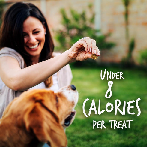 Fruitables Baked Dog Treats – Healthy Low Calorie Pumpkin and Blueberry, 12 Ounces