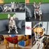 Big Dog Winter Coat, Pet Plaid Hoodie Jacket, Reversible Vest for Cold Weather, Medium Large Dogs (XX-Large, Red)