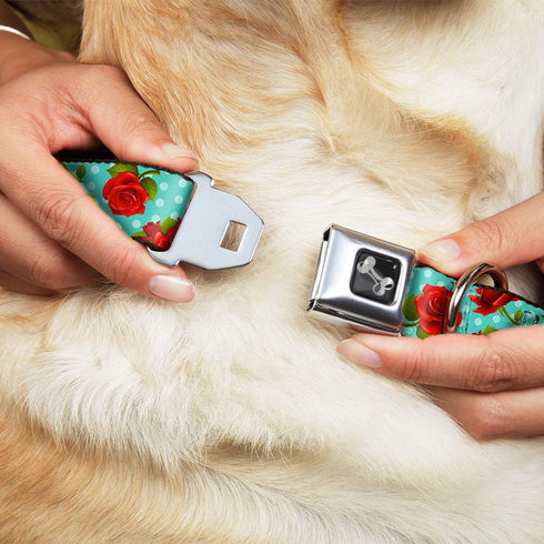Dog Collar Seatbelt Buckle, Red Roses Polka Dots, Turquoise, 9 to 15 Inches, 1.0 Inch Wide
