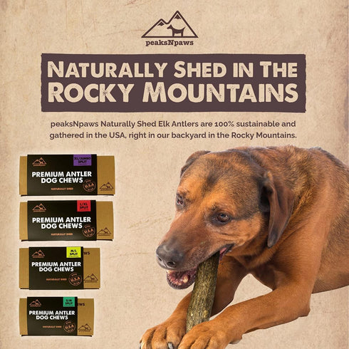 Premium Grade A Split Elk Antlers for Dogs - Healthy Treats, No Additives, Made in USA, S/M Split