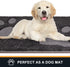 PURRUGS Dirt Trapper Door Mat 20" x 31.5" - Non-Skid Machine Washable Microfiber Entryway Rug for Muddy Shoes