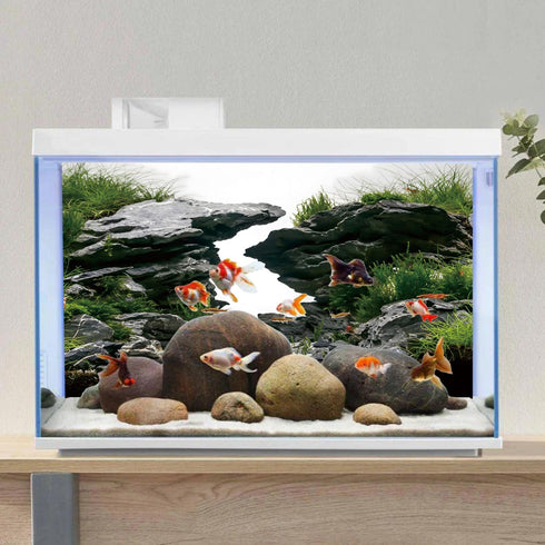 AWERT 30x18 inches Viewing Stone Fish Tank Background, River Bed & Lake Aquarium Vinyl Background.