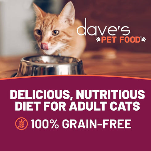 3 oz (24 Pack) Dave's Pet Food Grain Free Wet Cat Food (Tuna & Salmon in Aspic), Naturally Healthy Canned, Added