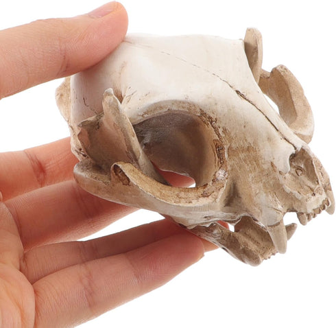 Amosfun Halloween Animal Skeleton - Scary Resin Cat Skull Model for Aquarium Fish Tank Decoration